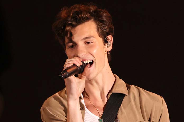 Shawn Mendes' New Song After Camila Cabello Split